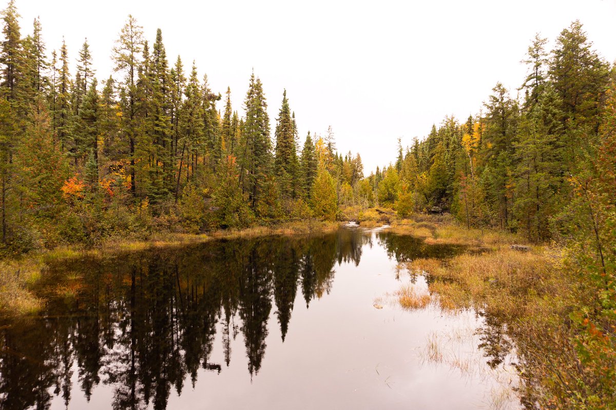 polyiesther's tweet photo. Quelques photos de l’automne au Canada 🍁 https://t.co/RRzXgo8k4O