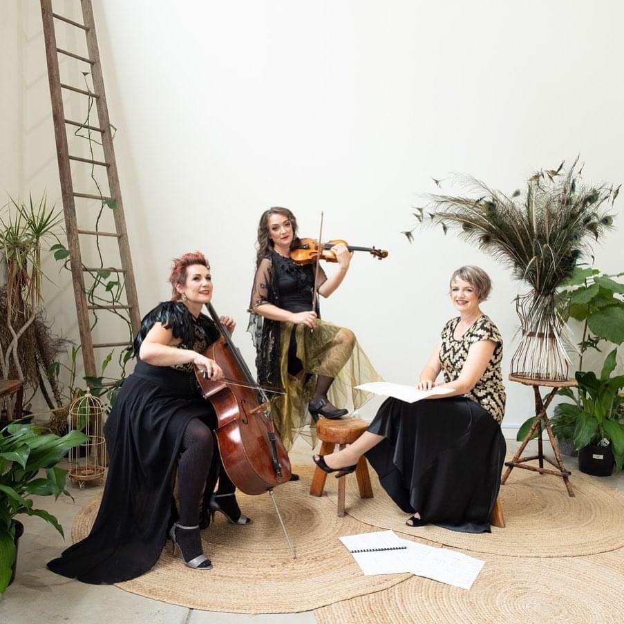 ABC Classic launch the album Fire Dances this coming Friday 12th November. A collaborative work - 8 women composers from across Australia. Performed by The Muses. The work responds to the devastating fires of 2019/2020. My contribution from the NT - Cycads After Fire.