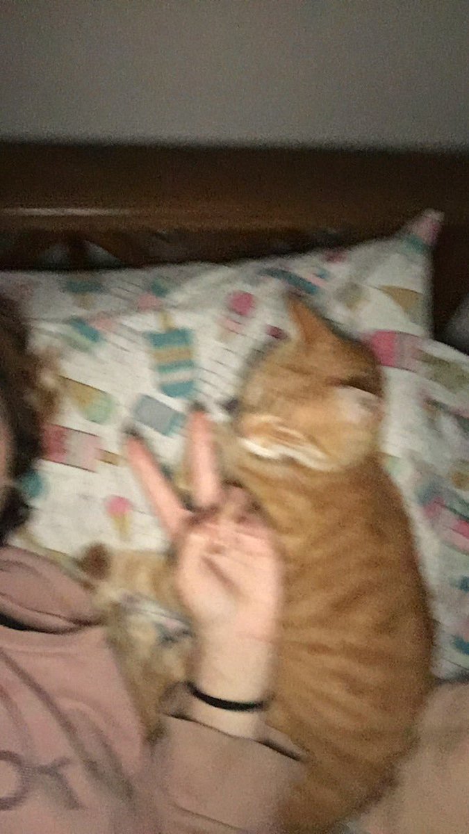 Nicole con e ⁴⁴ • ⁴³ tweet media