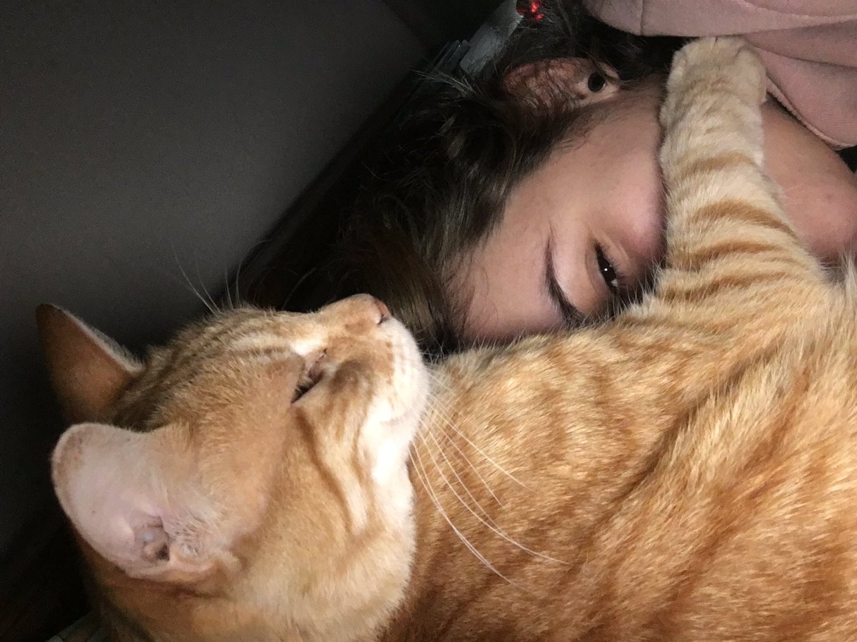 Nicole con e ⁴⁴ • ⁴³ tweet media