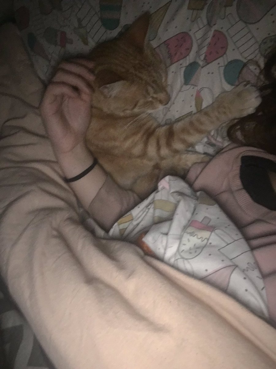 Nicole con e ⁴⁴ • ⁴³ tweet media