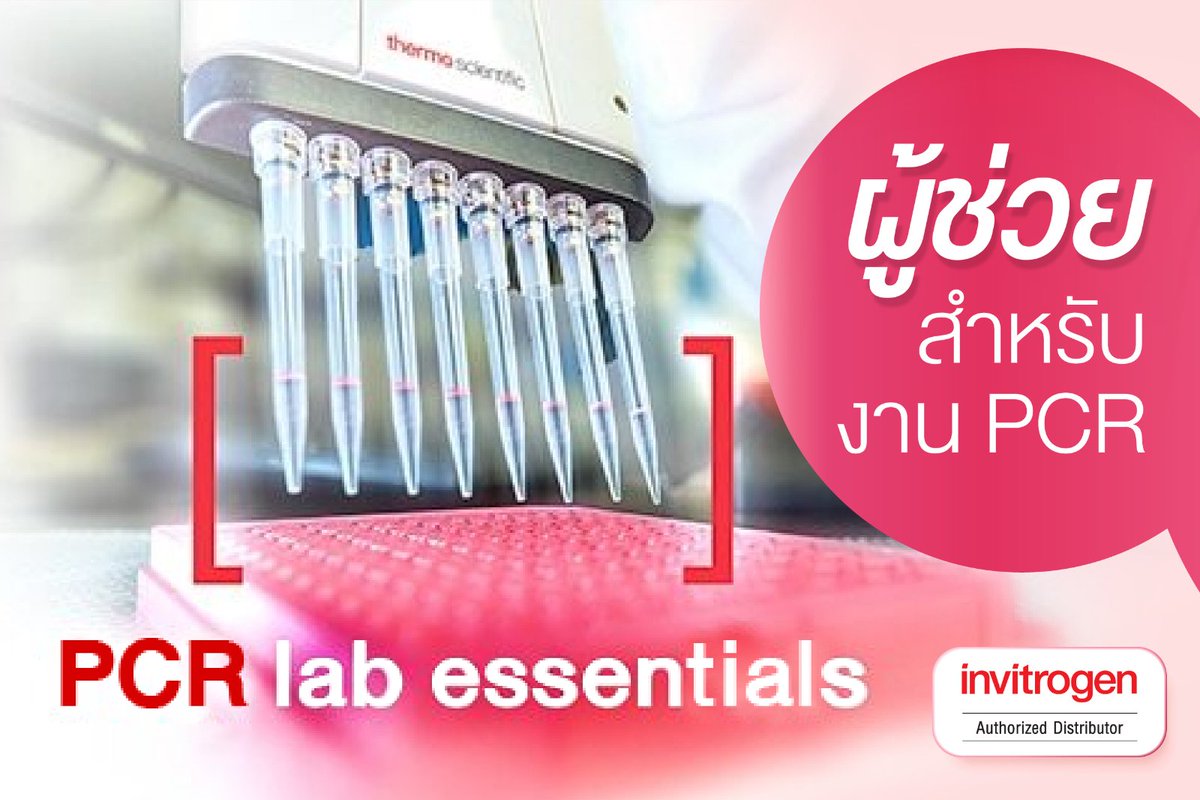 GIBTHAI1's tweet photo. 🔥หากคุณต้องการทำ PCR แล้วได้ผลลัพธ์ที่ชัดเจน และสม่ำเสมอ
.
💁PCR Lab Essentials ผู้ช่วยสำหรับงาน PCR ที่จะมาทำให้การออกแบบ และการทดสอบ มีประสิทธิภาพสูงสุด!!

👩‍🔬อ่านเพิ่มเติมได้ที่ : https://t.co/IH9B9AFnyz https://t.co/PbffmmFrGd