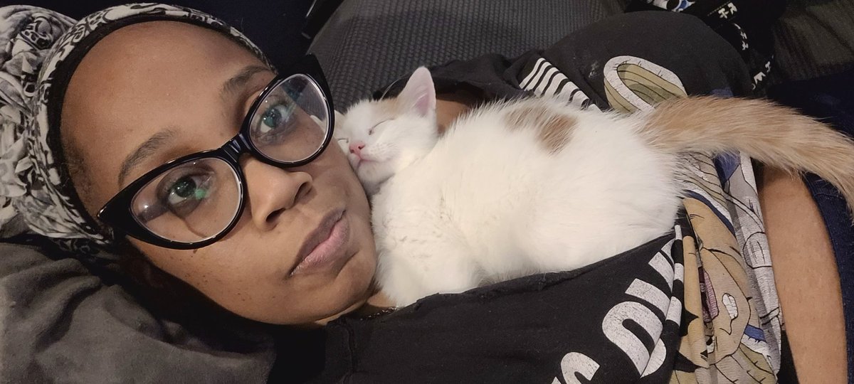 sailorxtasy's tweet photo. Just using me all day as a bed. #tittykitty https://t.co/qELECeBGmj