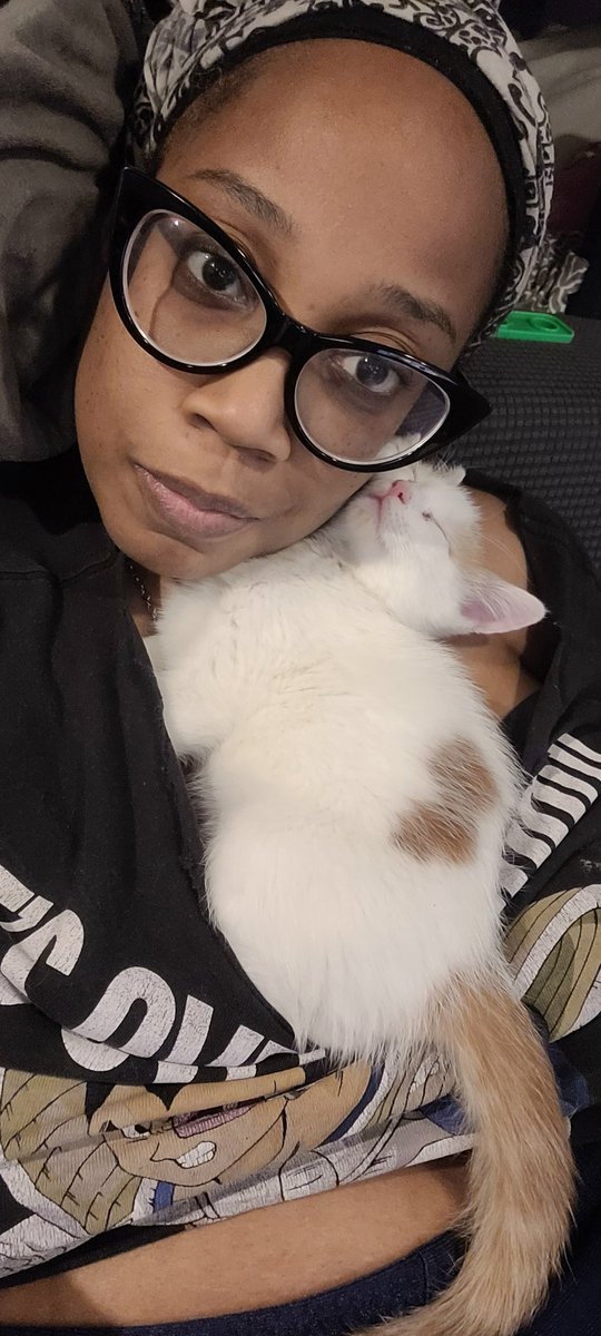 sailorxtasy's tweet photo. Just using me all day as a bed. #tittykitty https://t.co/qELECeBGmj