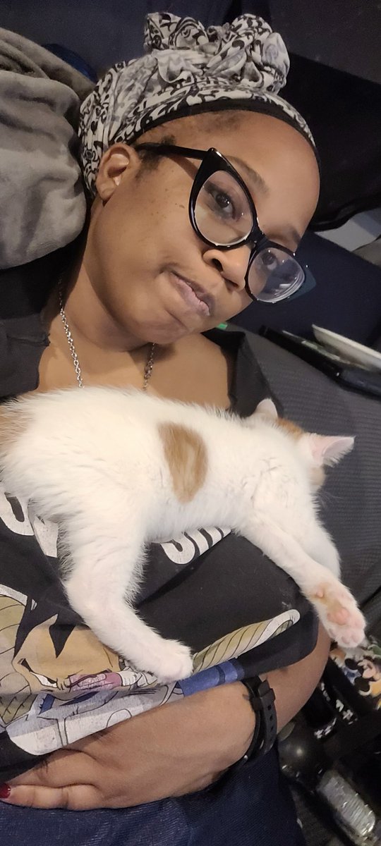sailorxtasy's tweet photo. Just using me all day as a bed. #tittykitty https://t.co/qELECeBGmj