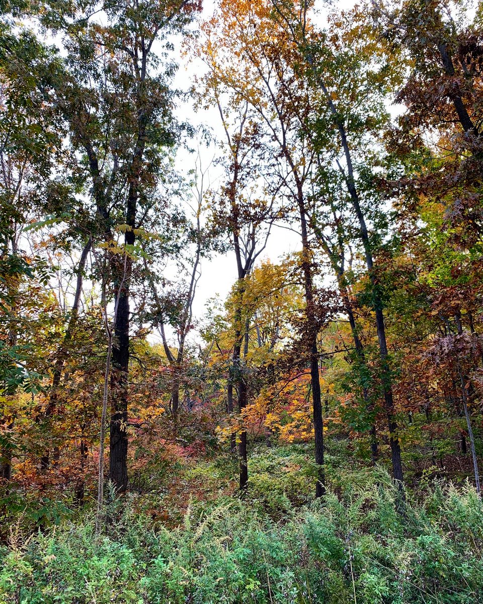 gabikcard's tweet photo. Reasons why I love fall the most 🍁 https://t.co/fCNvgFEQ7i