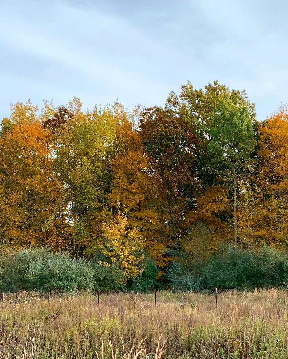 gabikcard's tweet photo. Reasons why I love fall the most 🍁 https://t.co/fCNvgFEQ7i