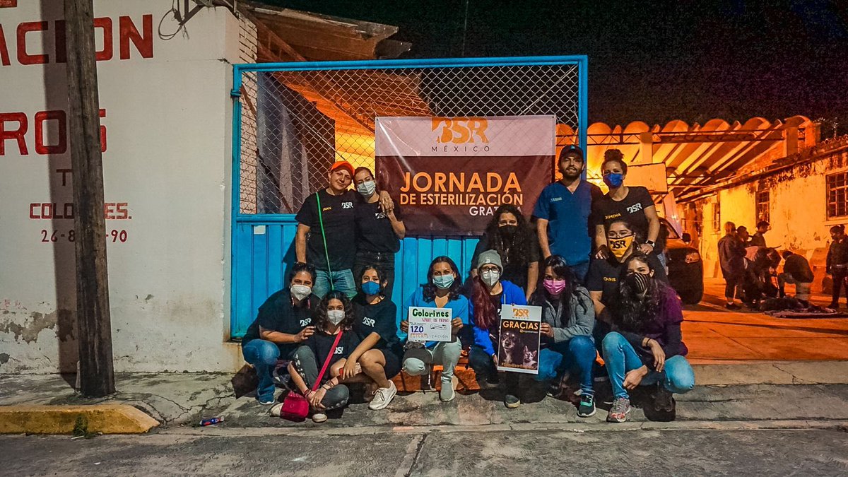 BrigadaSinRaza's tweet photo. ¡Gracias, Colorines! 💛 Gracias, Equipo #BrigadaSinRaza 🐕🐈⬛🐈 120 esterilizaciones 🤩 #BSR #BSRColorines #BSRValleDeBravo @RivieraRescue @fundindac @padrinosprrones @ERIFERCA @AmorSinRaza https://t.co/NEYimAsVhC