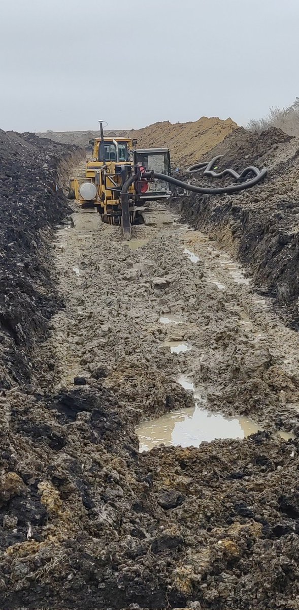 tiling_guy2012's tweet image. Wet? You don't say!