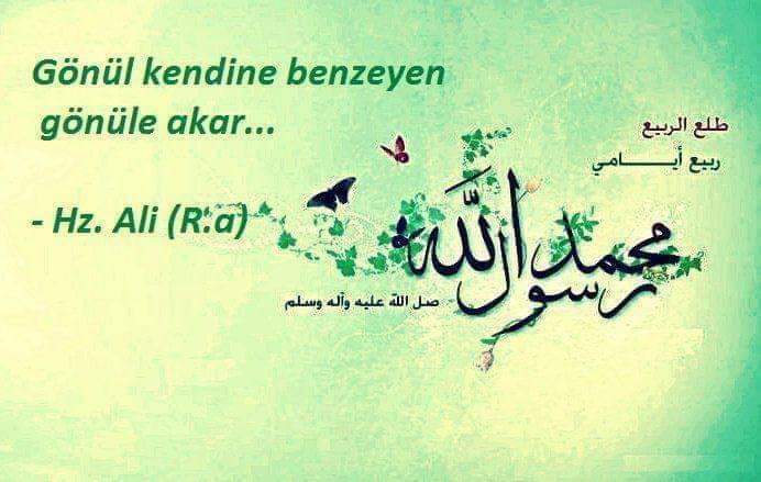 Gönül kendine benzeyen gönüle akar...

- Hz. Ali (R.a)

Yeni güne Bismillah ⚘