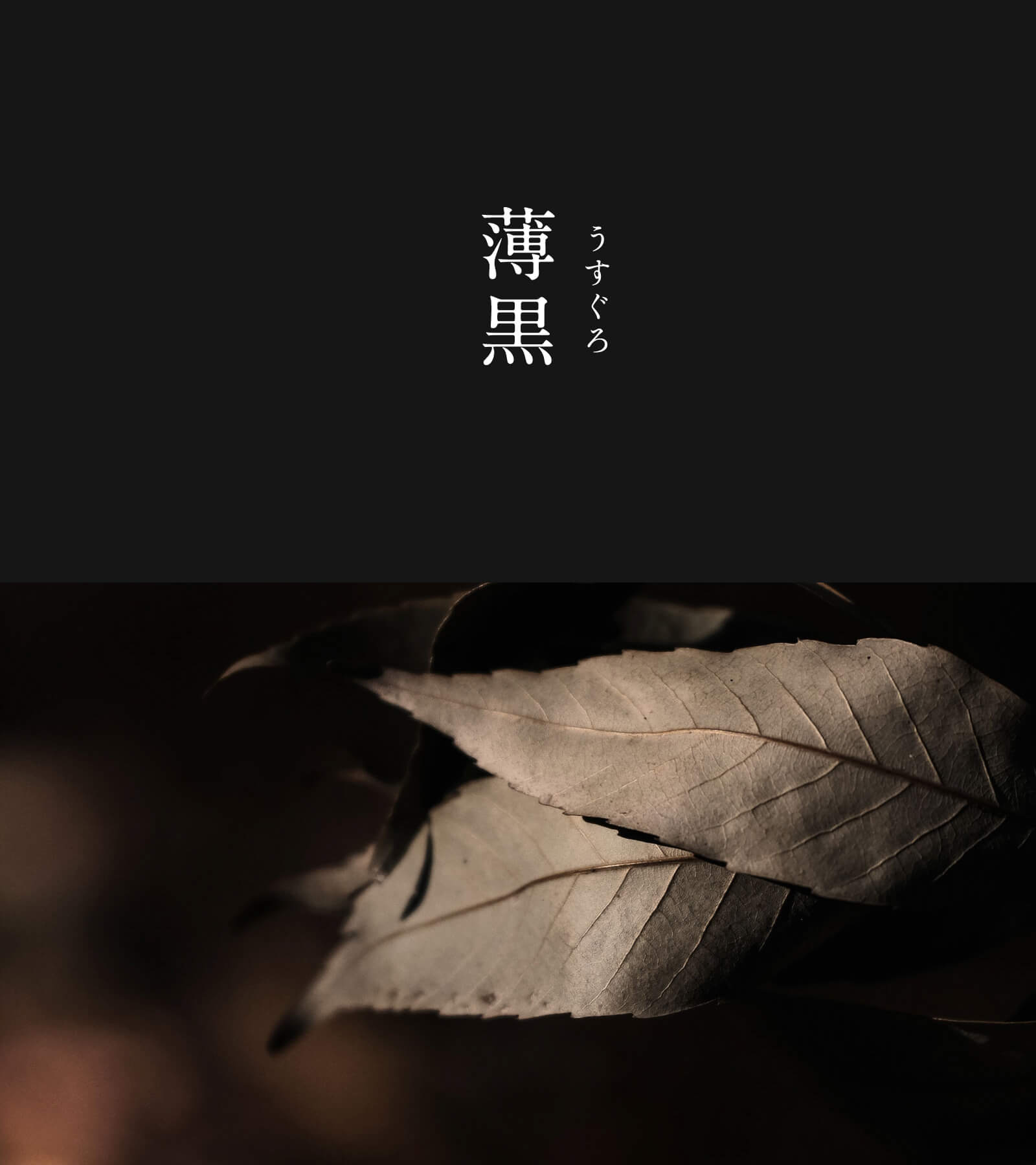 暦生活 こよみせいかつ 10周年 薄黒 うすぐろ にっぽんのいろ 古の人は 黒 の中にも様々な表情の違いを見出しました どこまでも黒寄りの灰色は まるで深い森の奥底のよう 名前には 薄い黒色 という意味のほかに うっすら黒い という別の