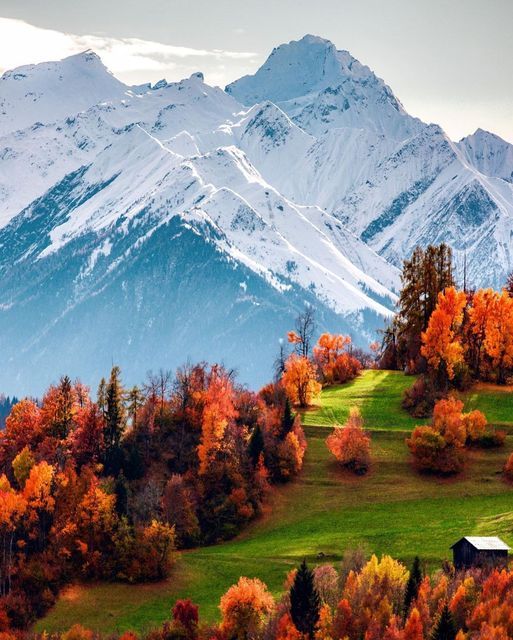 LOFT ELEVATOR (@turkishlifts) on Twitter photo 