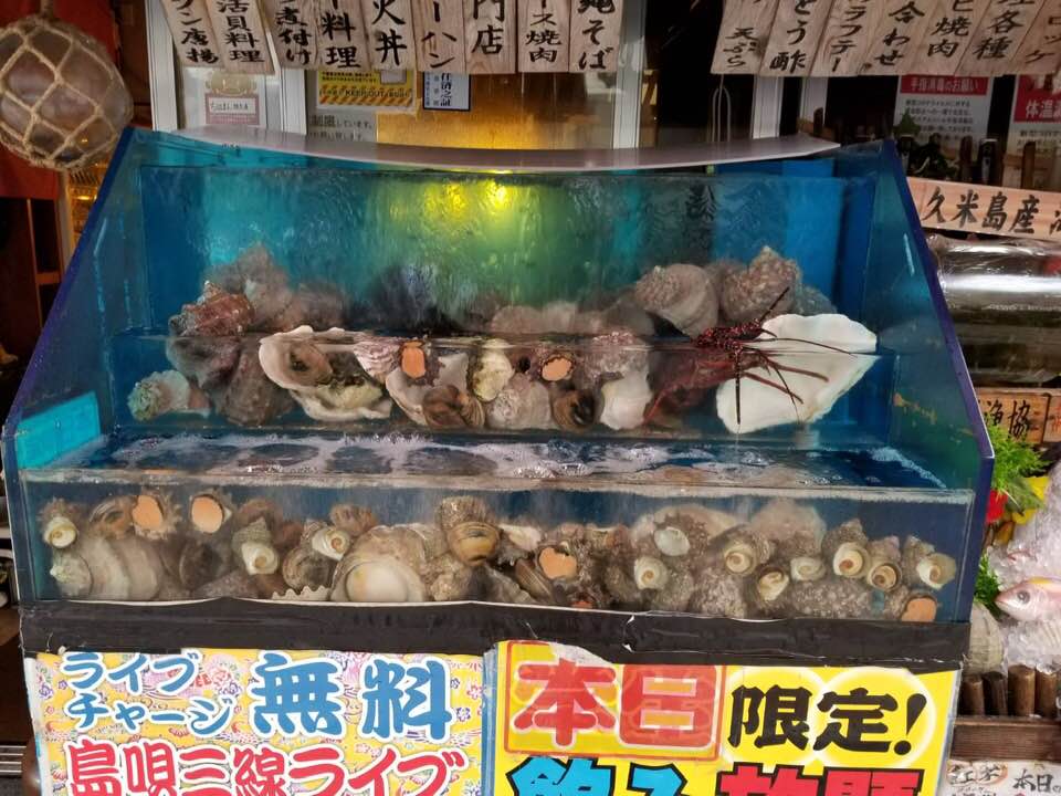 沖縄料理ちぬまん国際通り牧志店 はろはろ ちぬまん牧志店 今日はあいにくのお天気ですが 今週も新鮮魚介類大量入荷 本日のおすすめ 生簀 鮮魚台から 沖縄県産 夜光貝 車海老 ビノス貝 栄螺 ほか ちぬまん 那覇グルメ 国際通り