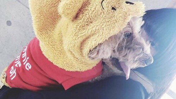 _puuO7's tweet photo. 急だけどアカウント変えます😿🙃

@anchn_v

良ければ！ https://t.co/mkbVedNTWR