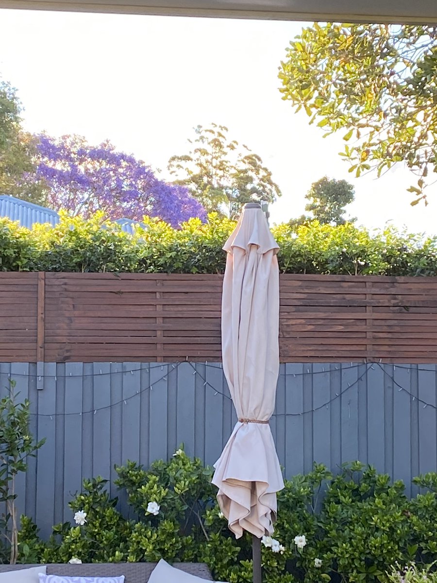 NancySommerfiel's tweet image. Nice 50mls dropped by today and now the suns shining ☀️ 

#rain #toowoomba #preciousresource #water #liquidgold