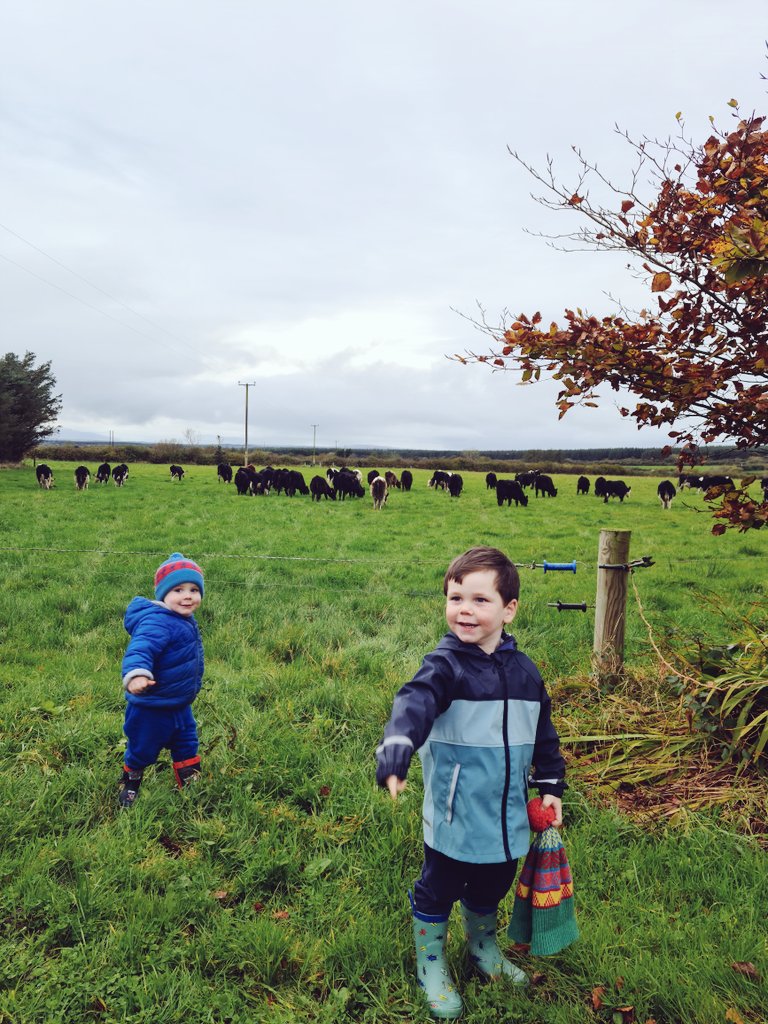 MichelleMoca83's tweet photo. Two busy little men #youngfarmers #November https://t.co/wjw4jBD5wp