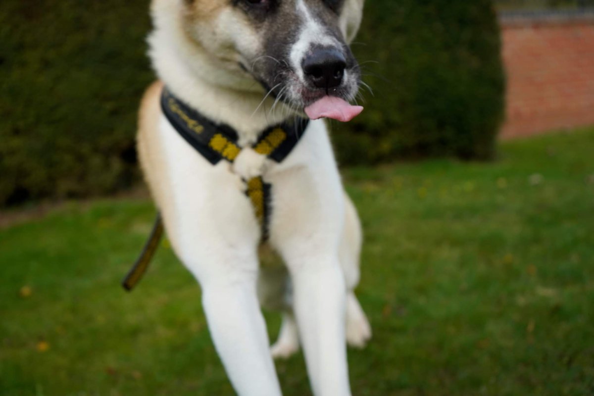 This is what Patsy thinks to it being Monday morning already.

Have a good week everyone!