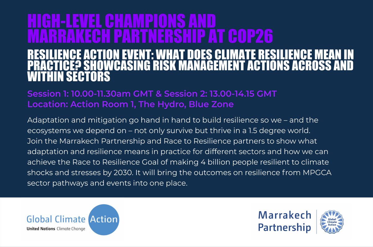 Áine Ní Bhreasail tweet media