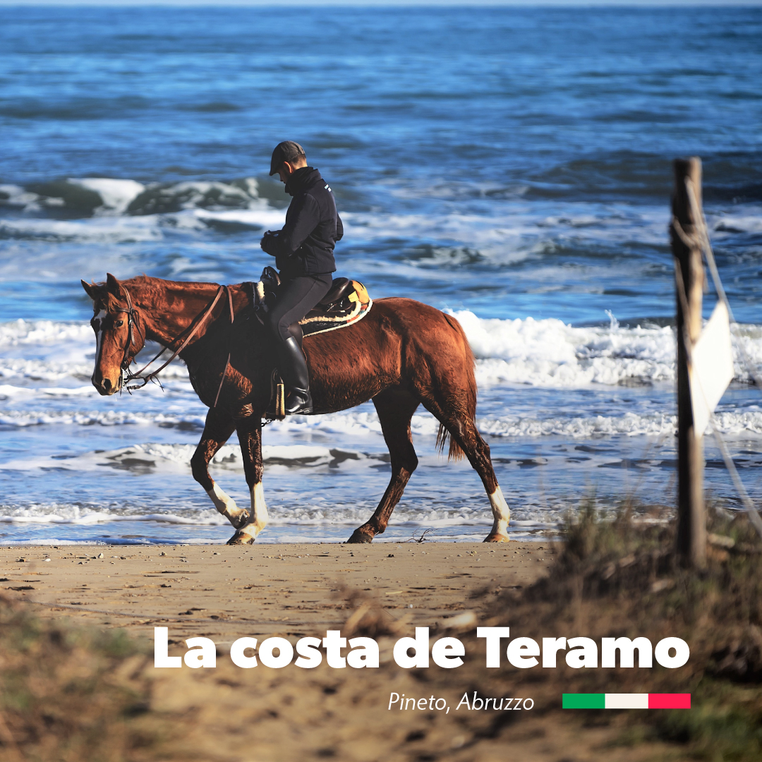Italia_Arg's tweet photo. #IDEASDEVIAJE - LA COSTA DE TERAMO 🇮🇹
📍Naturaleza, arte y relax, en un mar fascinante. Se trata de la ribera más larga de Abruzzo asomada al “Mare Adriático”.
https://t.co/1vnYlsvom1
 
#ENITArgentina #ENITItalia #Italiasentieridellanima #Abruzzo #Teramo https://t.co/eShFuv00nQ