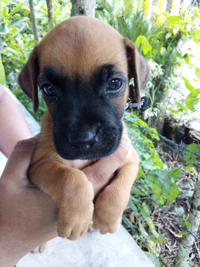 1907_park's tweet photo. #QueMonito aquí viendo esta linda peli con mi perrita https://t.co/n19bodXq7P