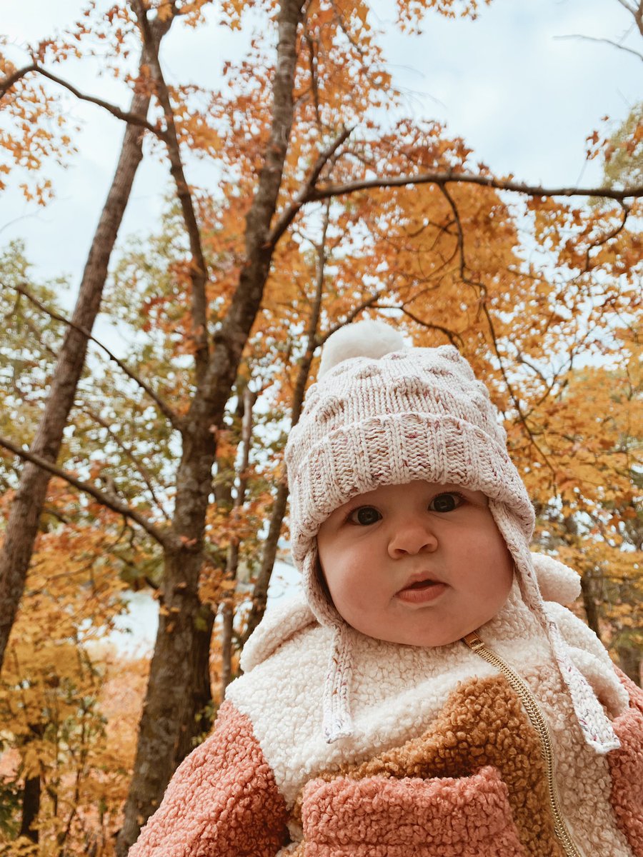 polly darton tweet media