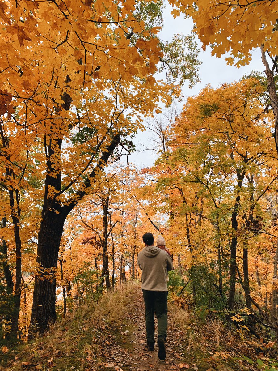 polly darton tweet media