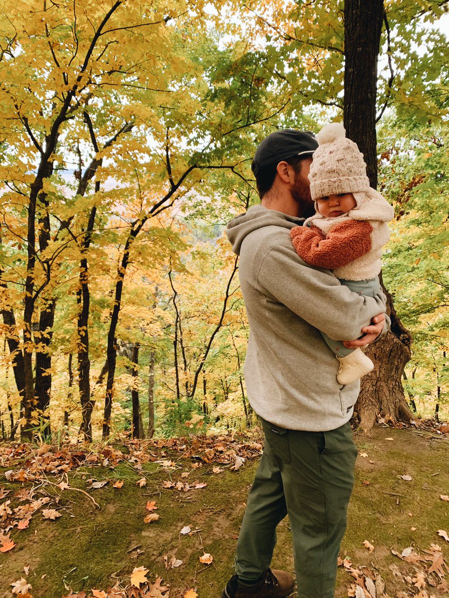 polly darton tweet media