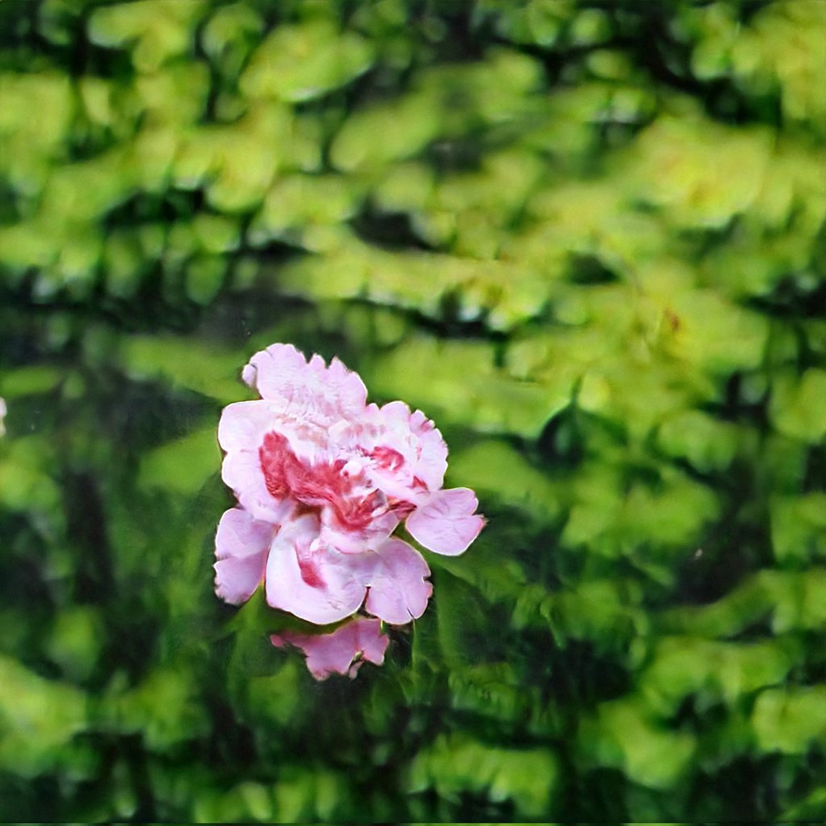 Sam’s Sandwich Shop tweet media