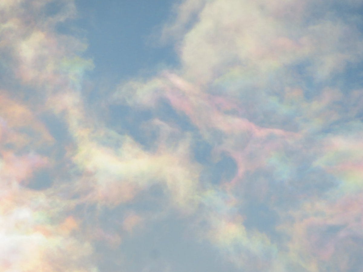 荒木健太郎 S Tweet パステルカラーな彩雲に出会いました 彩雲 は いわし雲やうろこ雲とも呼ばれる巻積雲が太陽の近くにさしかかったときに出会いやすい虹色の雲です 太陽を建物などで隠して 陰から太陽の近くの雲を観察するのがコツです 太陽を直視しないように