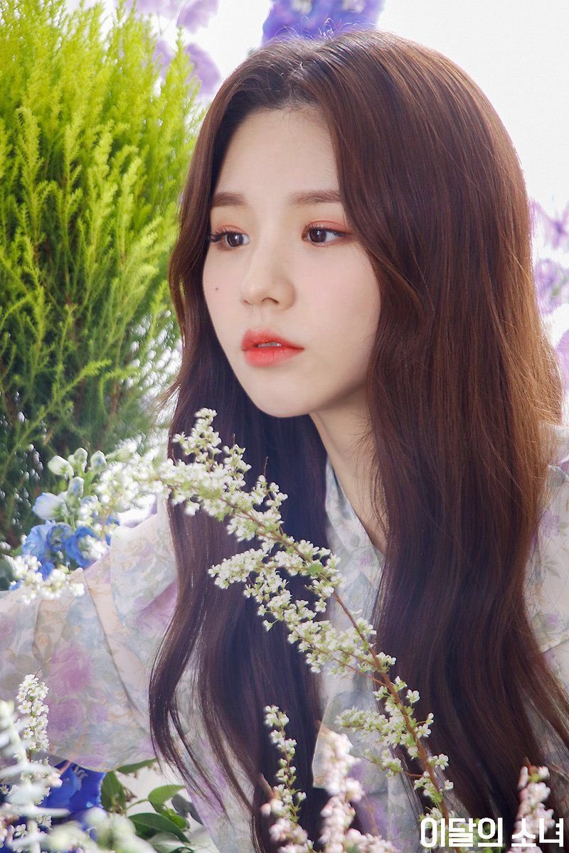 hourly heejin (@jhjhourly) on Twitter photo 