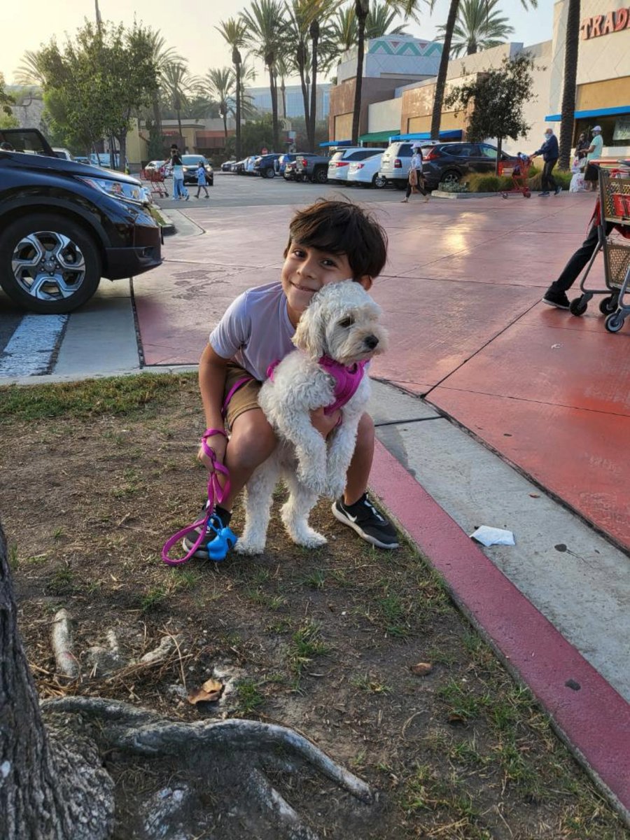 nbiancaaa's tweet photo. Thank you all for retweeting. She is home safe🤍 https://t.co/B0UI9NqOhl