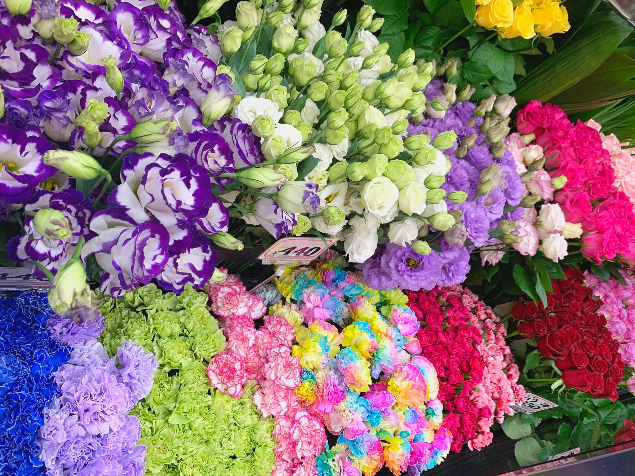 はなはうす弥生 今日は切り花の仕入れありました アレンジメント 花束など ご注文お待ちしております 電話注文頂きましたらスムーズに いきますので宜しくお願いします 高槻市 関西スーパー 切り花 花屋 トルコキキョウ レインボー