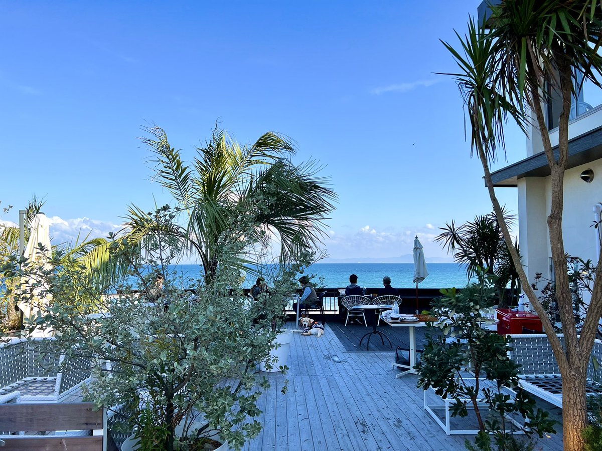 三浦海岸 Twitter Search