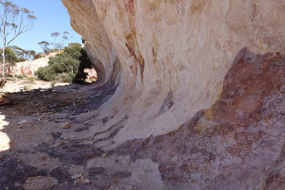 BotanistRob's tweet photo. Breaking breakaways west of Norseman. https://t.co/Xi08y4OQvh