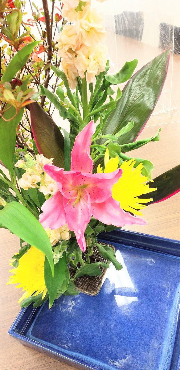 Top Tweets For ツツジ Twstalker