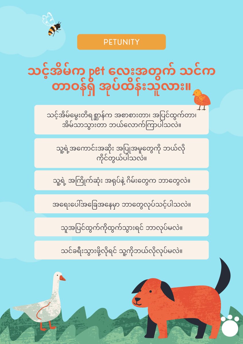 Meowgalabar P-fans!
Are you a responsible pet owner? Answer below questions.

Petunity
Sharing One World
petunity.net
#FactsAboutPets #ResponsiblePetOwner #Petunity #Myanmar #Pet #Responsible
