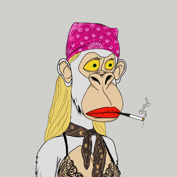 cloudwhite's tweet photo. found the perfect @dapewives for my @boredapeyc. https://t.co/68Y0nCFh6m