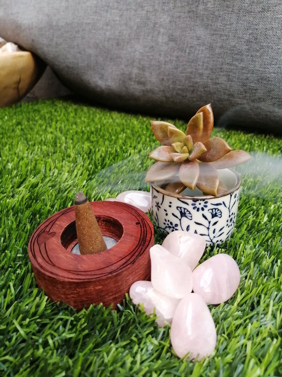 Cellie_ThisIsMe's tweet image. Some new additions to the @plankiebraai family 🤩