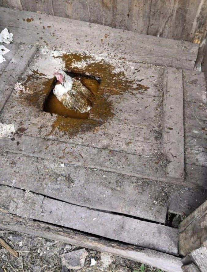 Рикардо Милос 🧻 (@ricardomilos520) on Twitter photo 