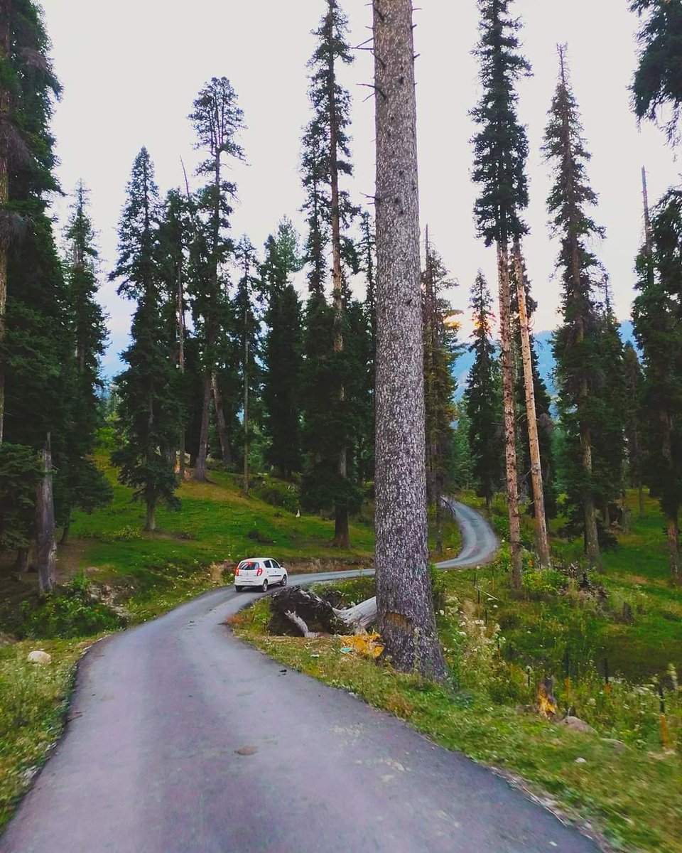 All About Kashmir tweet media