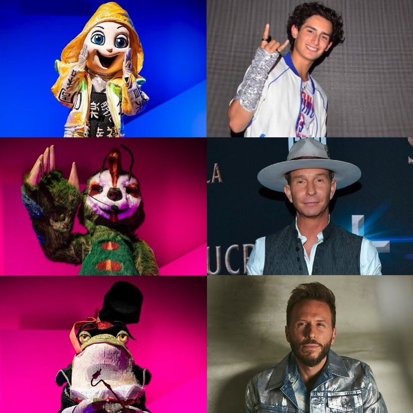 SoyHaroldConH's tweet photo. Para mí estos son los artistas que continúan en #QuiénEsLaMáscara 
#CarnivoraEs Tatiana 🌺
#ApacheEs Kalimba 🦝
#GitanaEs Gala Montes 🦊
#HuevaEs Emilio Osorio 🥚
#PerezosoEs Erik Rubín 🦥
#SapoEs Noel Schajris 🐸
#LeonaEs Dulce María 🦁
#AndroideEs Sandra Echeverría 🤖 https://t.co/dcxI67Rmwl
