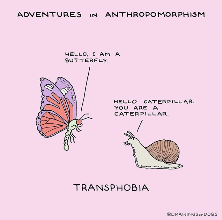 TrevorProject's tweet image. You are valid 💙💗💙 art by @henryjgarrett 🎨

If you&apos;re in crisis, we&apos;re here 24/7 to support you at: 866.488.7386 or text/chat thetrevorproject.org/help 📲 #TransAwarenessMonth