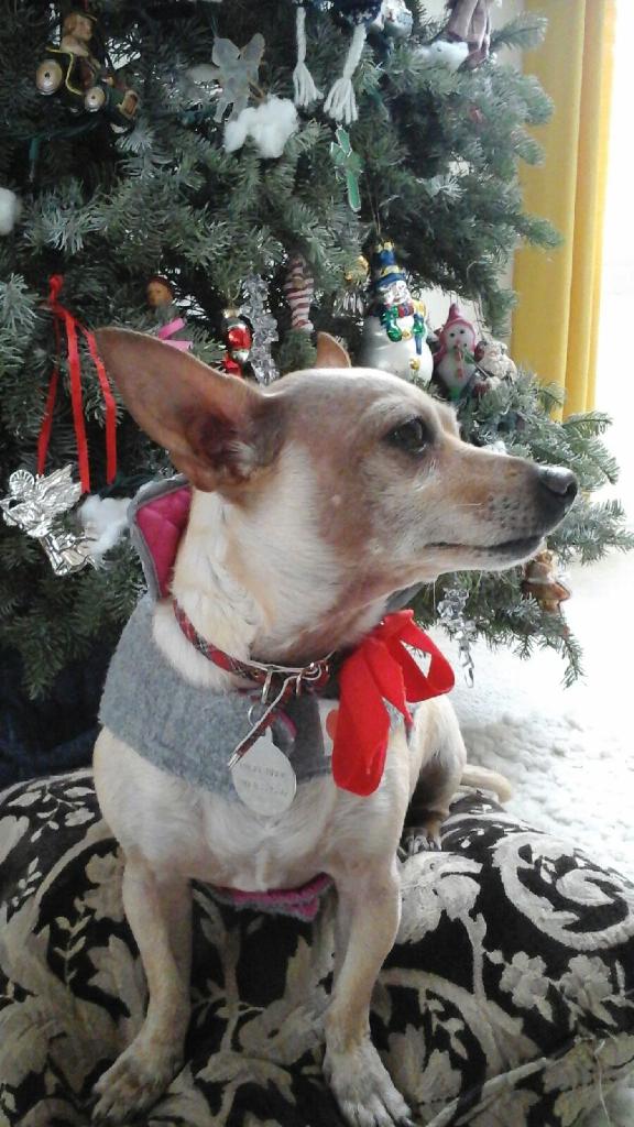 She was sweet #inmythoughtstoday #"T"youaremissed #heavenisclose