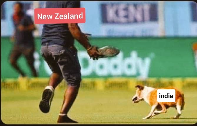 ThankQ NZ ,😉😂
#NZvAFG
#PAKvsSCO