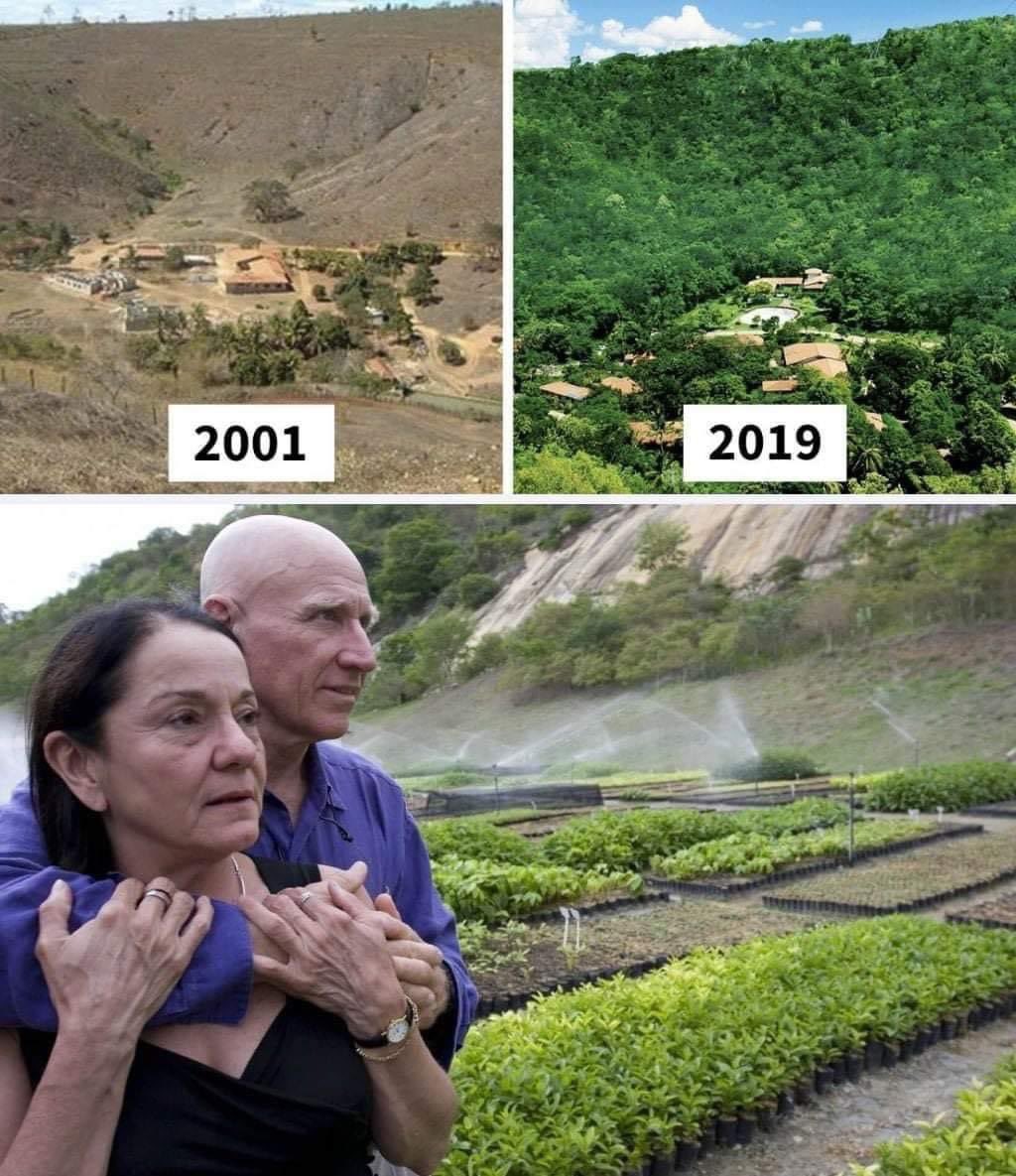 EnsedeCiencia's tweet image. En Brasil, una pareja ′′Sebastián Salgado′′ plantó 2 millones de árboles en 20 años para recrear un bosque 💚🌳
