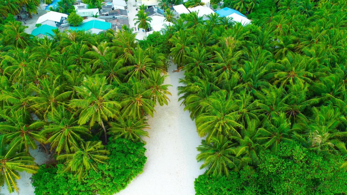 editionmv's tweet photo. #Travel #Etiquettes and its importance! Learn About Where You are Visiting โ๐https://t.co/nv835ZlJHJ
#maldives #traveledition #travelmaldives #theedition #localislands #culture ๐บ https://t.co/nSXUaaUebX