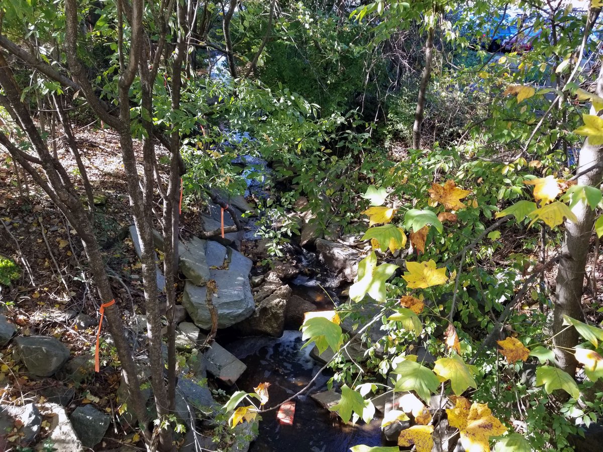 crafdiamonds's tweet photo. I post a random photo from my photography projects weekly! Stay tuned for the next photo ^-^
#photography #weeklyphoto #craftdiamonds #digital
Week 39: Hidden Creek https://t.co/iYd7zdZZQw