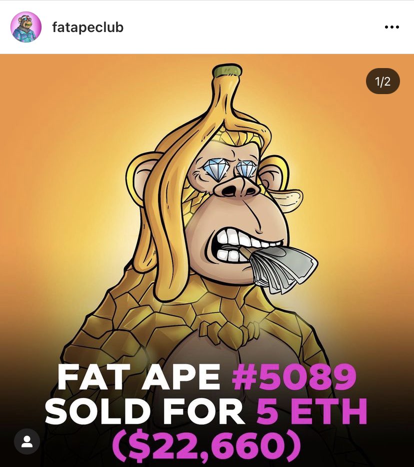 BscdavidDavid's tweet photo. @joshhart #FatApeClub @fatapeclub https://t.co/lVIsTAoRdN