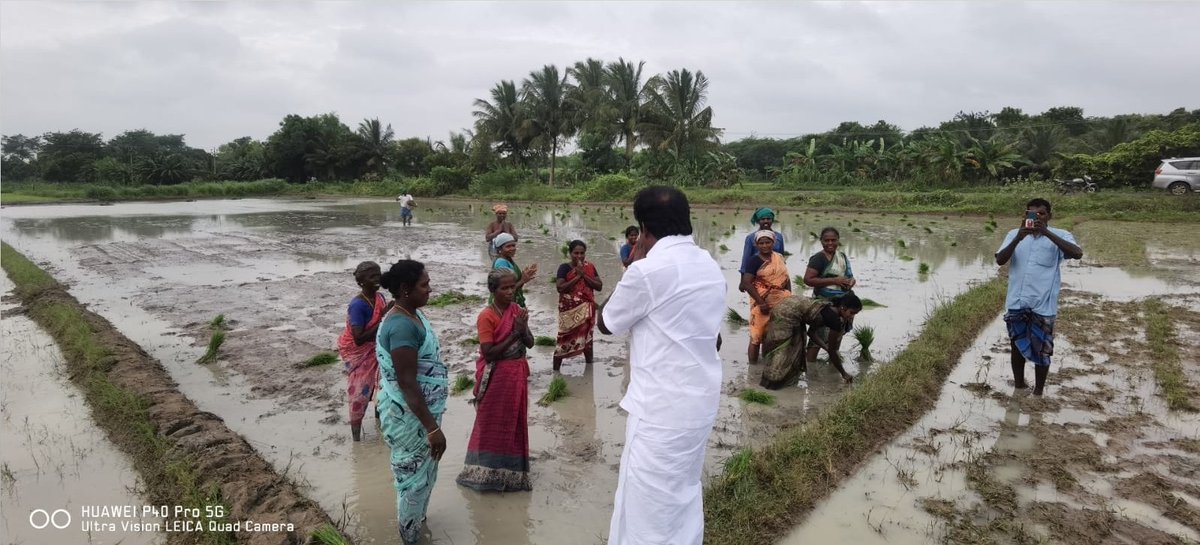 SMeyyanathan's tweet photo. புதுக்கோட்டை மாவட்டம் ஆலங்குடி சட்டமன்ற தொகுதி அறந்தாங்கி ஊராட்சி ஒன்றியம் மறமடக்கி பகுதிகளில் பெய்த மழையைப் பயன்படுத்தி வயல்வெளிகளில் நடவுப்பணியில் ஈடுபட்டிருந்த பெண்களிடம் கலந்துரையாடி அவர்களின் குறைகளைக் கேட்டறிந்த போது., https://t.co/TIBoI7MS9p