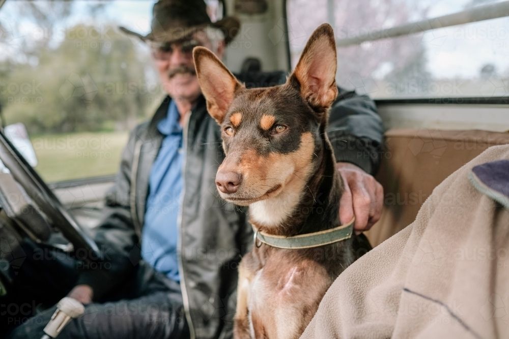 midlands_group's tweet photo. Baiting on your property? If you have working dogs or family pets on farm, a muzzle is a great way to protect those animals from taking a potentially lethal bait.
Whether starting fresh or muzzle resistant, https://t.co/D4NehktOQN has awesome resources to train your best mate. https://t.co/XgC8IzSxYr